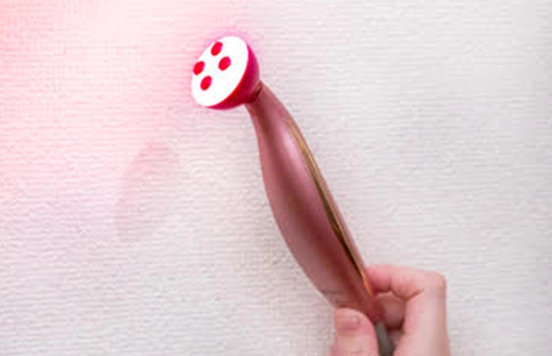 マクロビ乳酸菌の導入